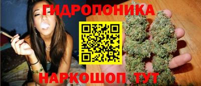 соль ск Славгород