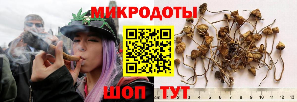 Псилоцибиновые грибы Magic Shrooms Бутурлиновка